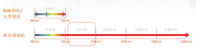 圖 1：NIR 高光譜成像可捕獲電磁波譜中 900 至 1700 nm 波長(zhǎng)范圍內(nèi)的光譜信息