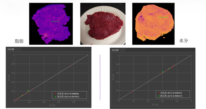 圖 9：事實(shí)證明，Specim FX17 高光譜相機(jī)及其 NIR 光譜范圍非常善于準(zhǔn)確測(cè)量肉末的水分和脂肪含量
