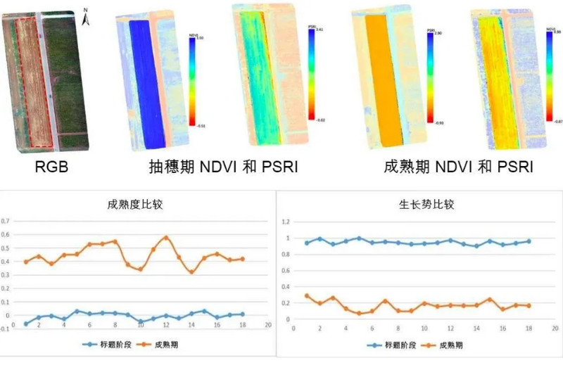 Specim AFX10無(wú)人機(jī)載高光譜成像系統(tǒng)記錄小麥在不同時(shí)期的歸一化植被指數(shù)和植物衰老反射指數(shù)