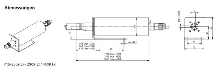 mzr-4609EX防爆型齒輪泵結構圖