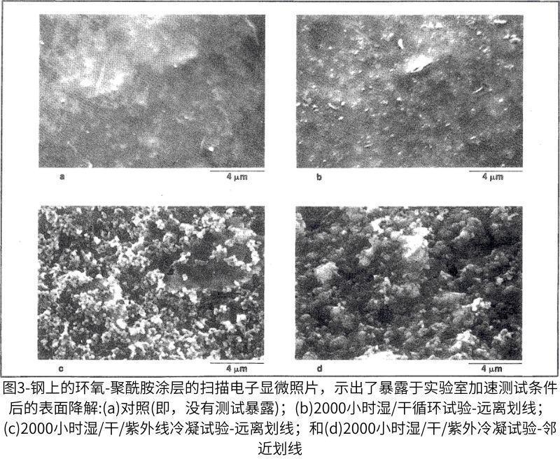 未暴露的對(duì)照樣品的表面