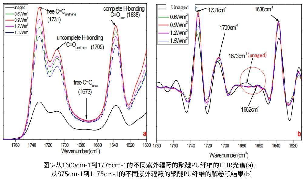 圖3說明了在1600cm-1至1775cm-1的各種照射下聚醚PU纖維的C=O譜帶之間的比較(圖3a)及其解卷積結(jié)果(圖3b)