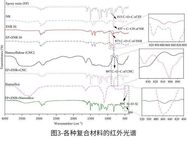 從純環(huán)氧樹(shù)脂基體和相關(guān)復(fù)合材料的缺口伊佐德沖擊斷裂表面的SEM顯微照片(圖4(a))評(píng)估形態(tài)。