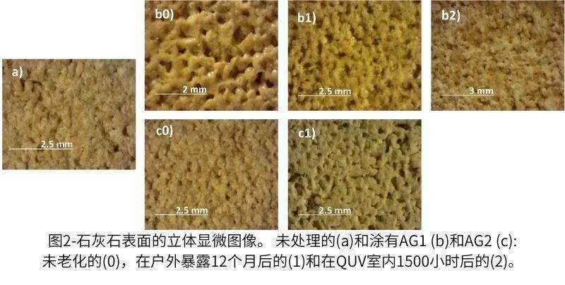 圖2石灰石表面的立體顯微圖像。 未處理的(a)和涂有AG1 (b)和AG2 (c)未老化的(0)，在戶外暴露12個(gè)月后的(1)和在QUV室內(nèi)1500小時(shí)后的(2)。